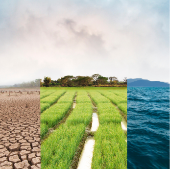 A composite image showing three contrasting landscapes side by side: cracked dry earth, lush green f
